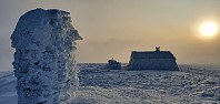 JoSo_20201225_5fe66a0209348.jpg