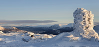 JoSo_20201225_5fe66a08ca457.jpg