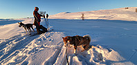 JoSo_20210122_600aaa85b6d11.jpg