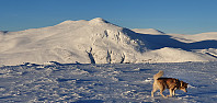 JoSo_20210122_600aaa890b081.jpg