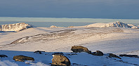JoSo_20210122_600aafdb9c6f0.jpg