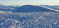 JoSo_20210122_600ab30ee3ceb.jpg