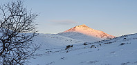 JoSo_20210122_600ab5c3da055.jpg