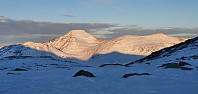 JoSo_20210122_600ab5c4bfd23.jpg