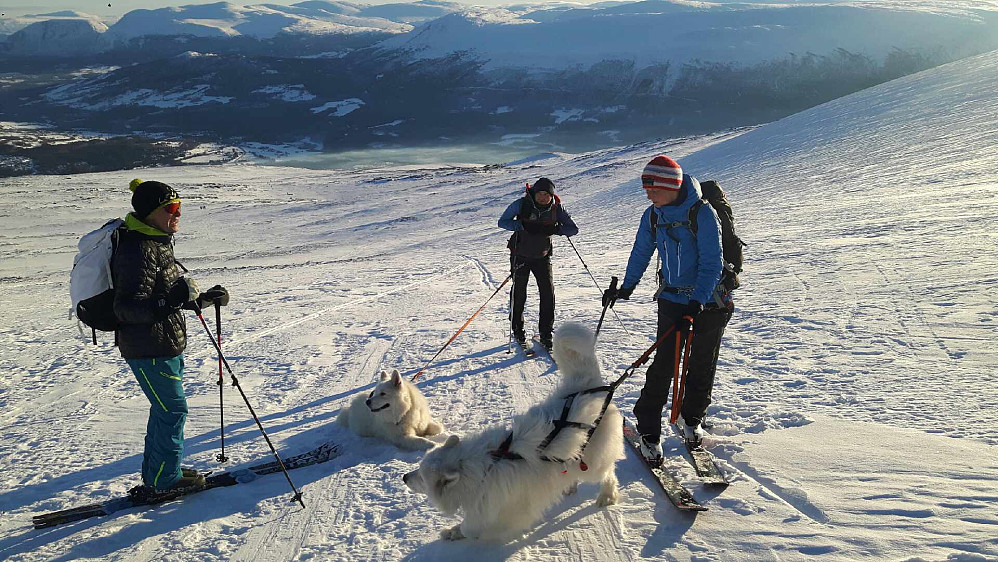 Oddveig, Egil & hundene er også på tur.