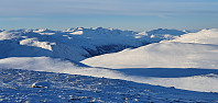 JoSo_20210122_600acb9b4e201.jpg