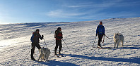 JoSo_20210122_600acb9d6e196.jpg