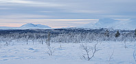 JoSo_20210122_600ad2f761fa8.jpg