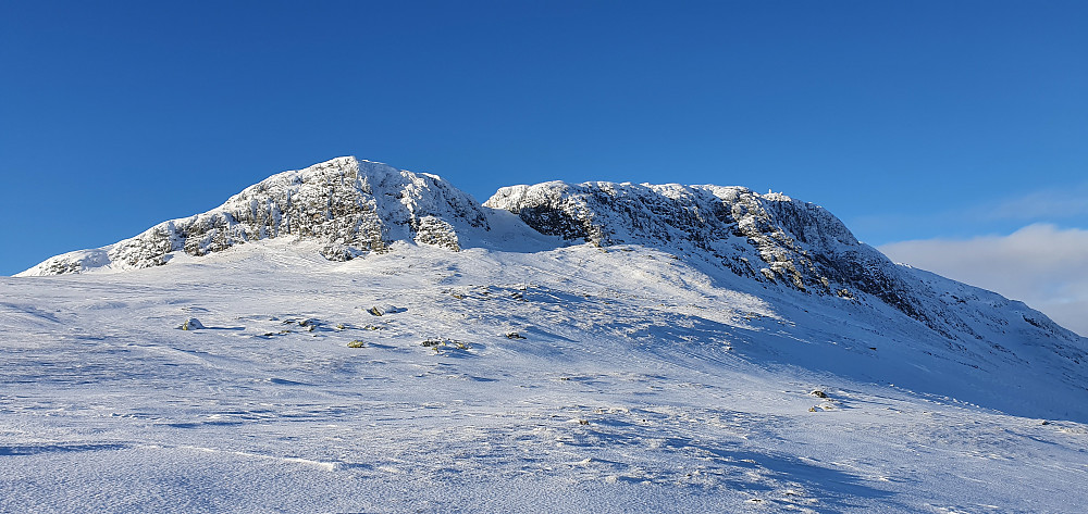 Skjæran