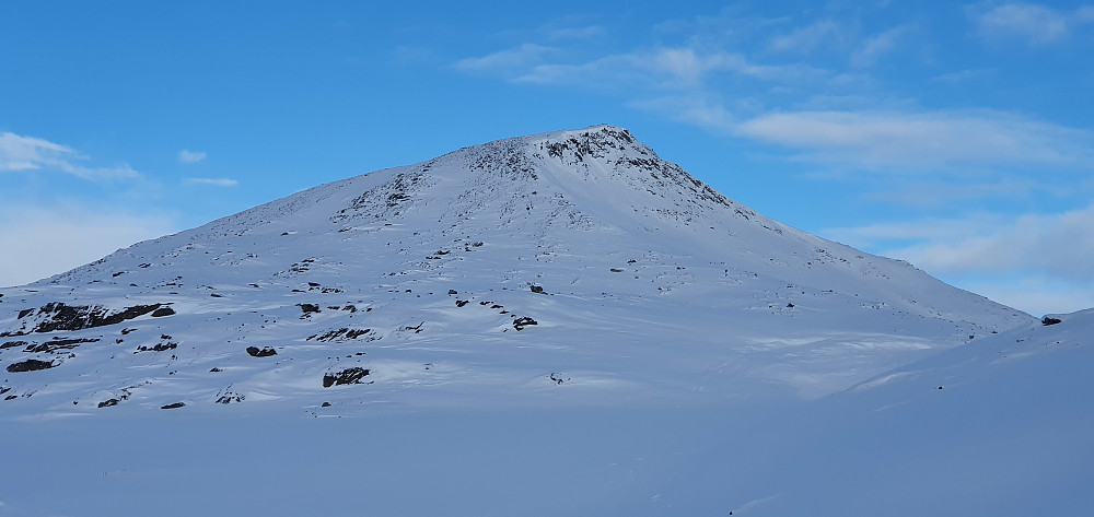 Storbekkhøa