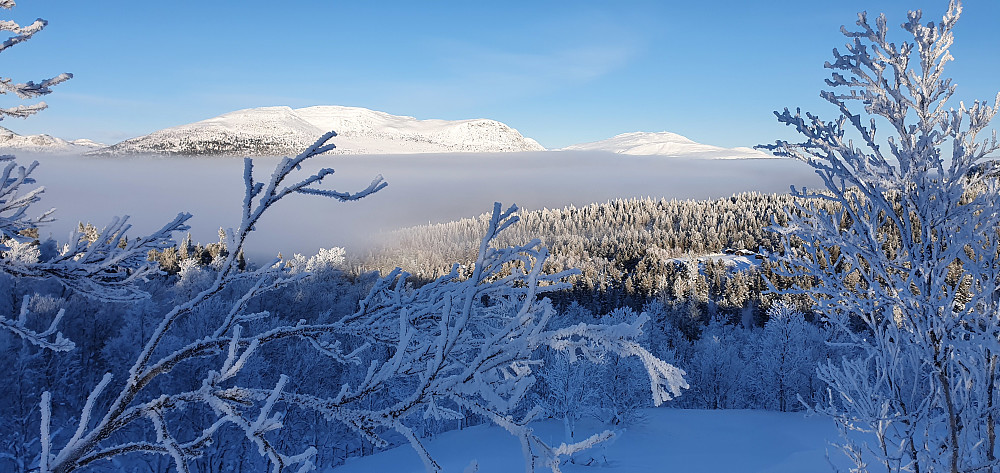 En kald januardag - Blåvola over tåka (og Tron til høyre). Sætergrenda Urdlikjølen til høyre i bildet