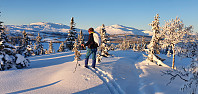 JoSo_20210209_6022c01752e17.jpg