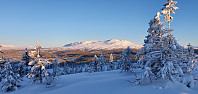 JoSo_20210209_6022c018a838b.jpg