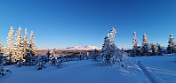JoSo_20210209_6022c019d08b1.jpg