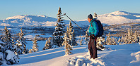 JoSo_20210209_6022c01b14f6c.jpg