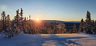 JoSo_20210209_6022c01c82325.jpg