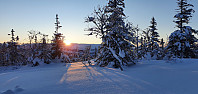 JoSo_20210209_6022c01db07c6.jpg