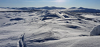 JoSo_20210209_6022c35b99dae.jpg