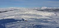 JoSo_20210209_6022c35d25908.jpg