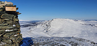 JoSo_20210216_602c21796e2c5.jpg