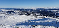 JoSo_20210216_602c217aa4652.jpg