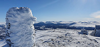 JoSo_20210319_6055285797c19.jpg