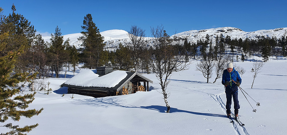 Fin, lita lafta hytte ved Båthussjøen