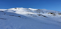 JoSo_20210403_6068de9e9566b.jpg