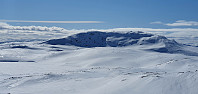 JoSo_20210429_608ad4547168f.jpg