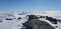 JoSo_20210429_608ad83b1bf80.jpg