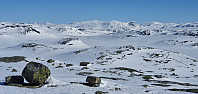JoSo_20210429_608ad83c50673.jpg