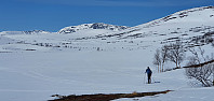 JoSo_20210510_6098ea44dfc41.jpg