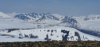 JoSo_20210517_60a2babebb8cd.jpg
