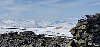 JoSo_20210517_60a2bcfb20179.jpg