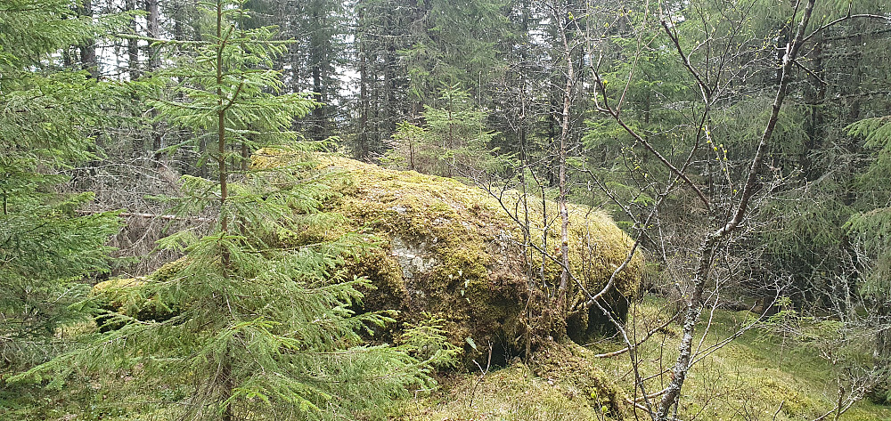 Kvernberget