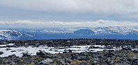JoSo_20210517_60a2cfc4e52c1.jpg