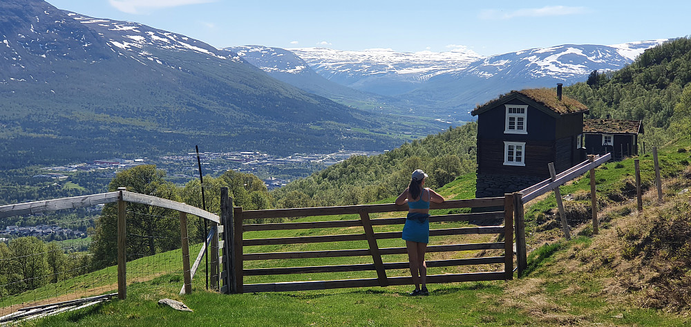 Sæteridyll ved Buasætra