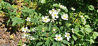 JoSo_20210614_60c68e868cbe0.jpg