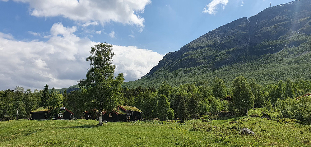 Langkåsa