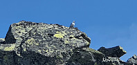 JoSo_20210707_60e5625fb21b9.jpg