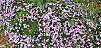 JoSo_20210707_60e57ae15c0ab.jpg