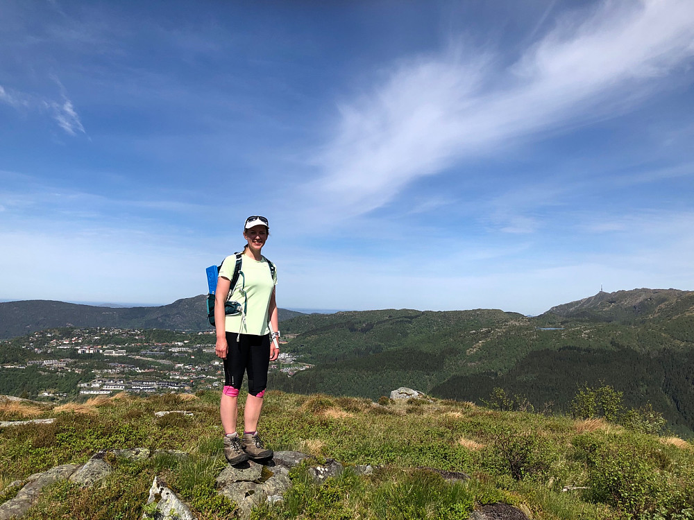 Høyeste punkt på Skavdalsfjellet.