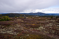 Toppen av Skinnfjellet. Djupdalskampen og Svangkampen sees midt i bildet. 