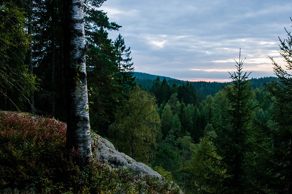 Utsikt vestover fra Sponkollen