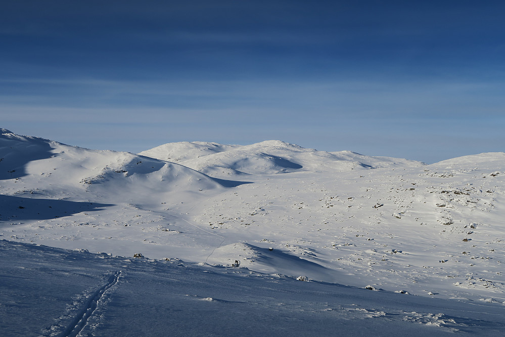 Zoomer man på dette bilde kan skispora følges hele veien til topps av Veslebotn 