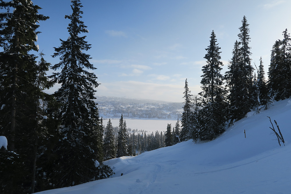 Går vanligvis skiløyper opp her, men mulig de bare kjører her rundt påsketider? Uansett, ikke kjørte løyper gir andre typer skiløpere strålende forhold igjennom skogen. 