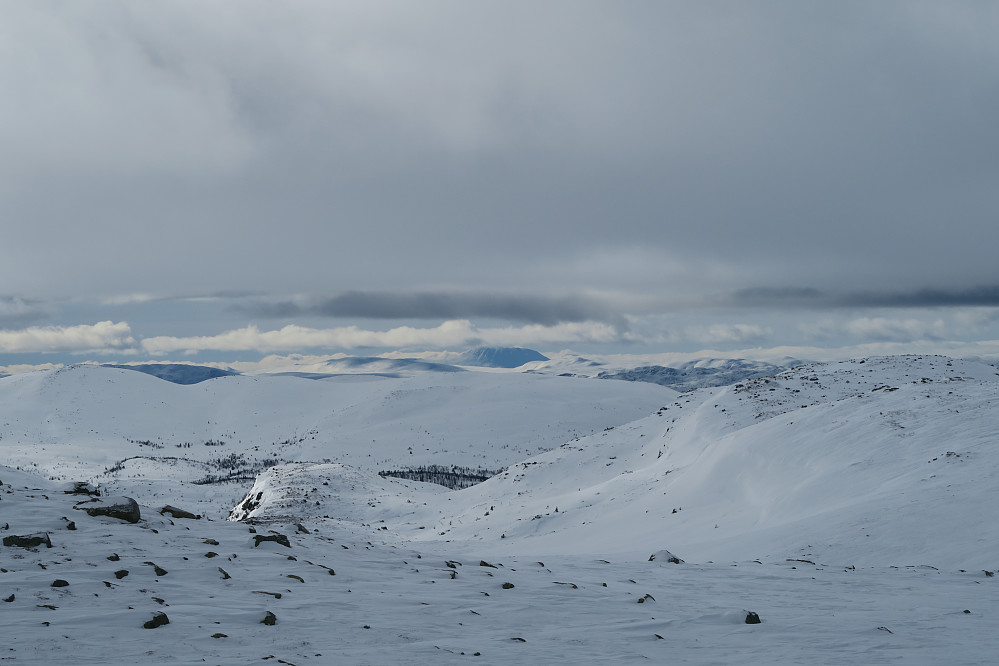 Gaustatoppen i tåka
