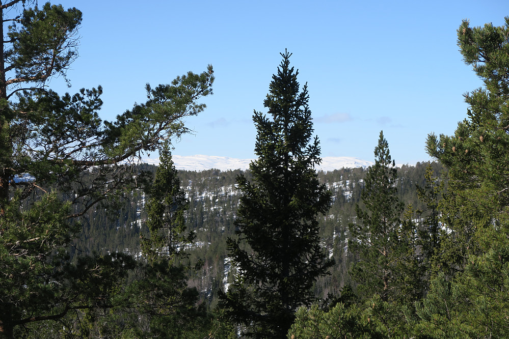 Blefjell