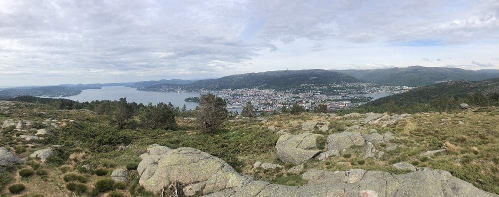 Utsikten fra Damsgårdsfjellet