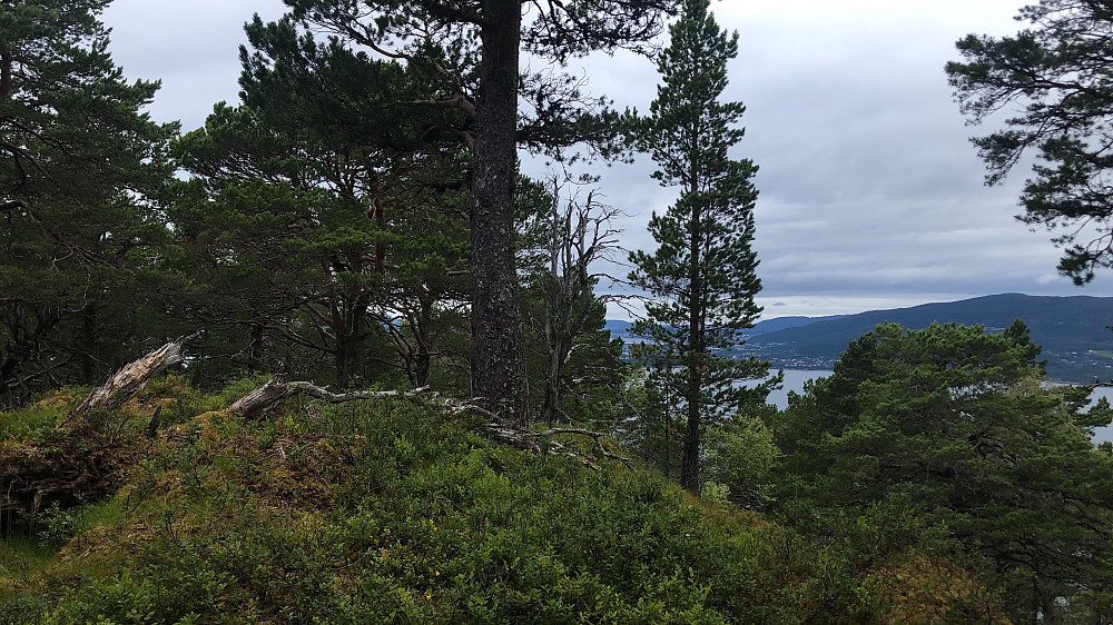 Utsikten fra Blakstadfjellet
